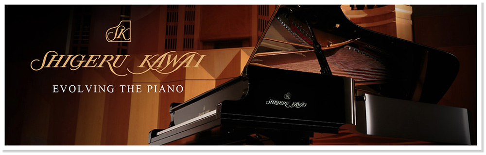 EVOLVING THE PIANO