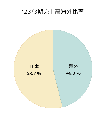 地域別売上高（連結）